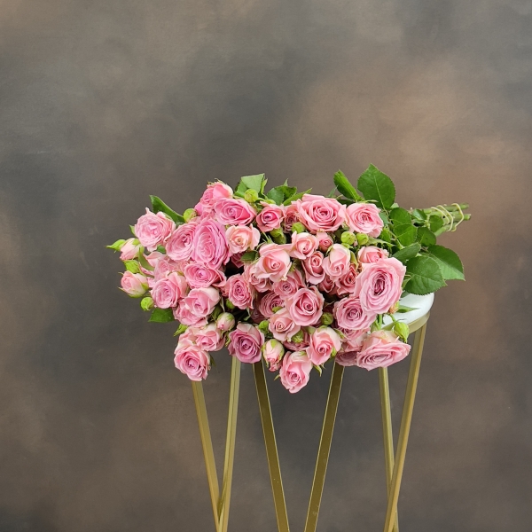 Роза Tr Odilia кустовая 60 см