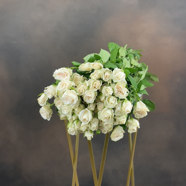 Роза Tr Royal Porcelina кустовая 60 см 