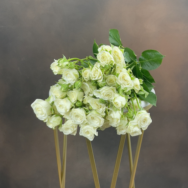 Роза Tr Snowflake кустовая 60 см 