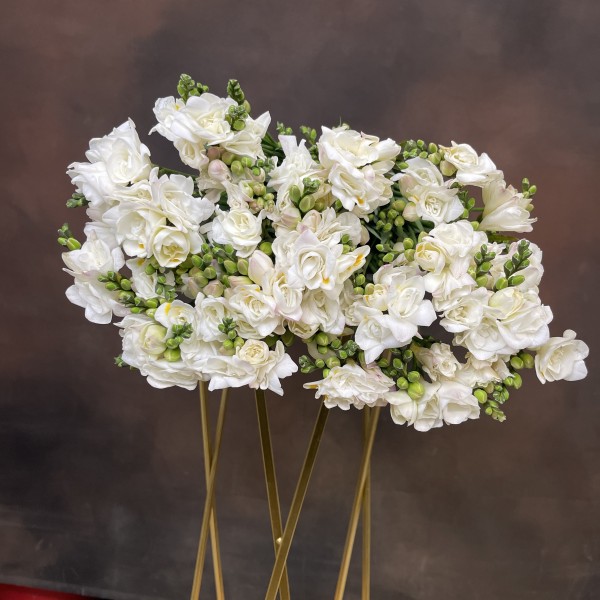 Фрезия Du Essence махровая 55 см