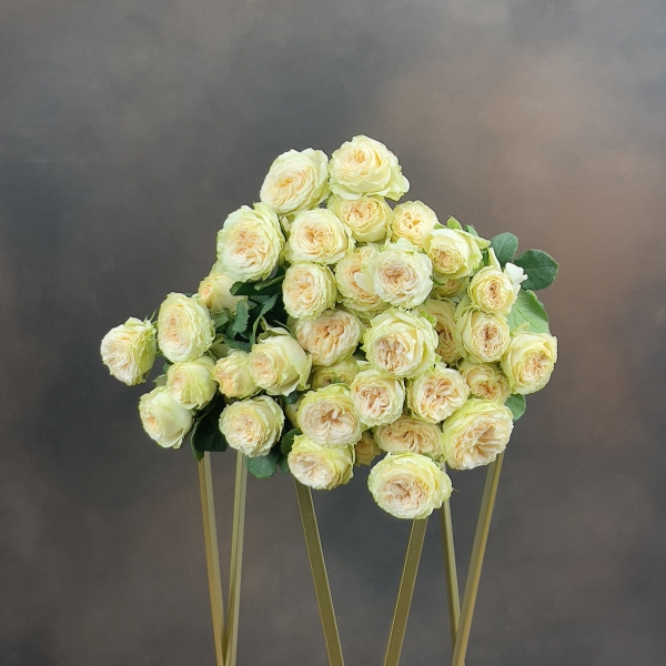 Роза Tr Summerrose кустовая 70 см 