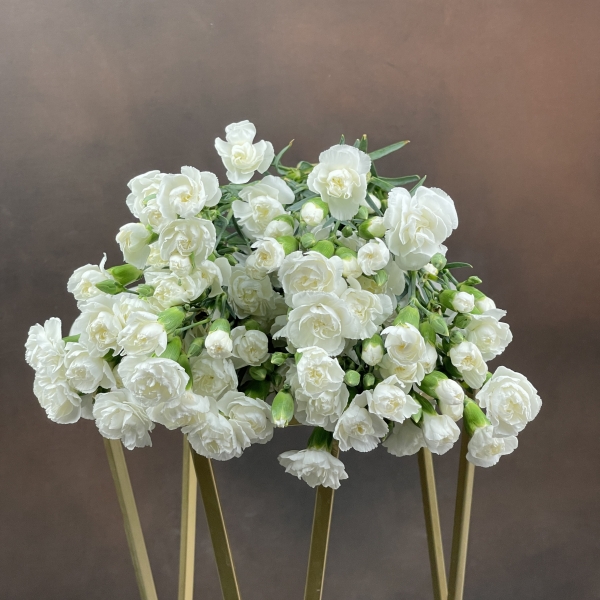 Гвоздика Tr Blanquita кустовая 55 см