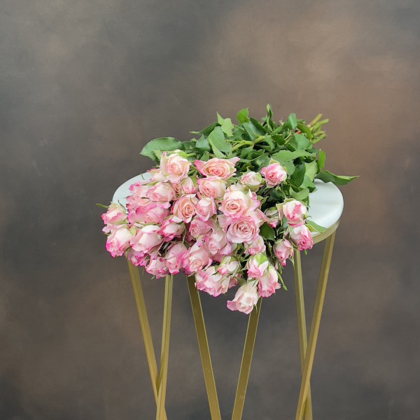 Роза Tr Speak Blossoms кустовая 50 см Роза Tr Speak Blossoms кустовая 50 см