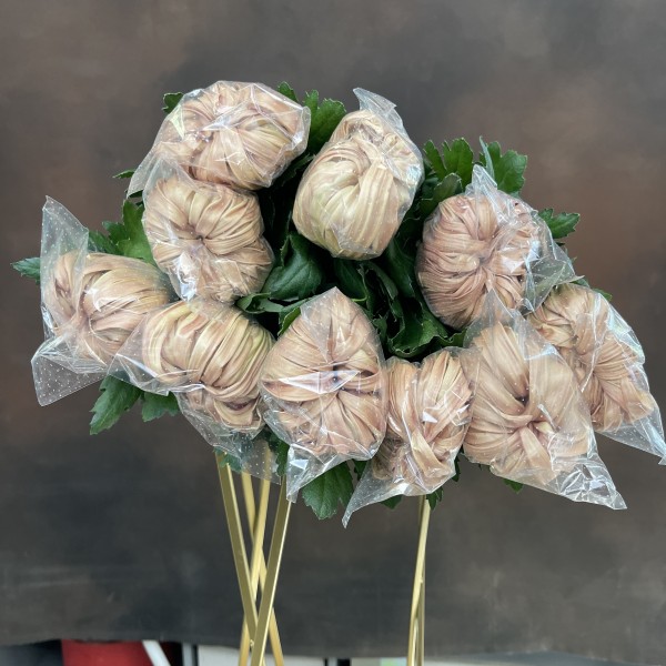 Хризантема G Vienna Copper одноголовая 70 см 