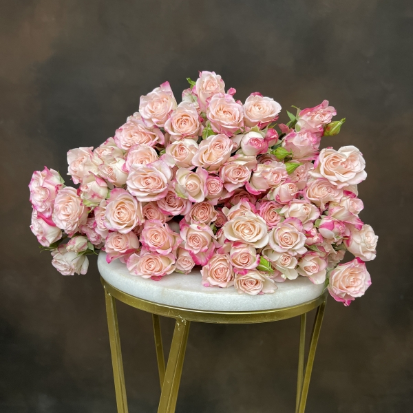 Роза Tr Reflex кустовая 60 см Роза Tr Reflex кустовая 60 см