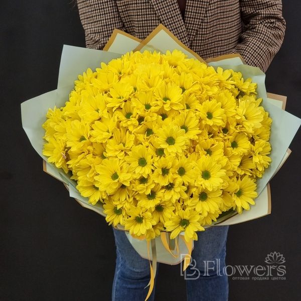 Букет из жёлтых кустовых хризантем "Celebrate" 15 шт