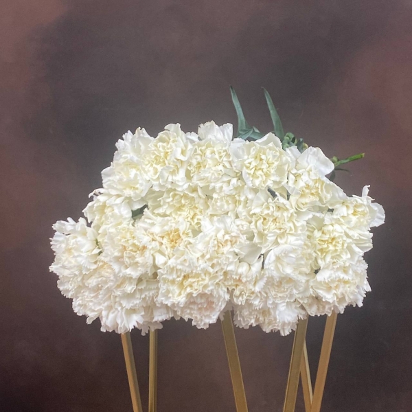 Гвоздика St Antarctica одноголовая 65 см Гвоздика St Antarctica одноголовая 65 см