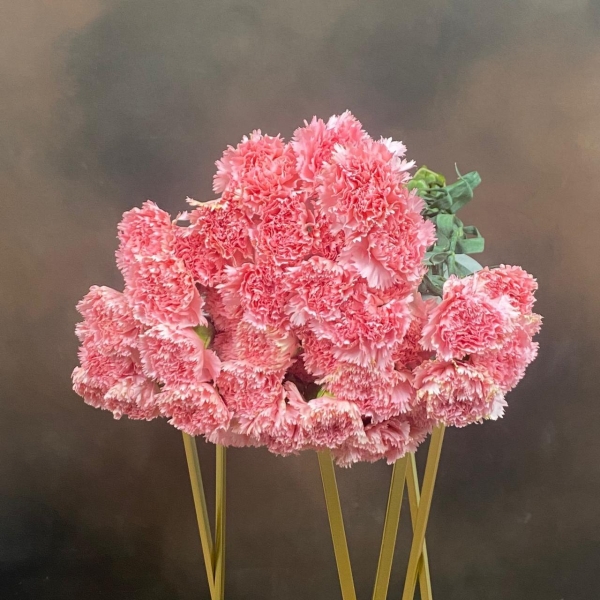 Гвоздика St Betsy одноголовая 65 см Гвоздика St Betsy одноголовая 65 см