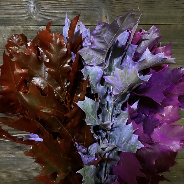 Дуб Painted Mix 80 см Дуб Painted Mix 80 см