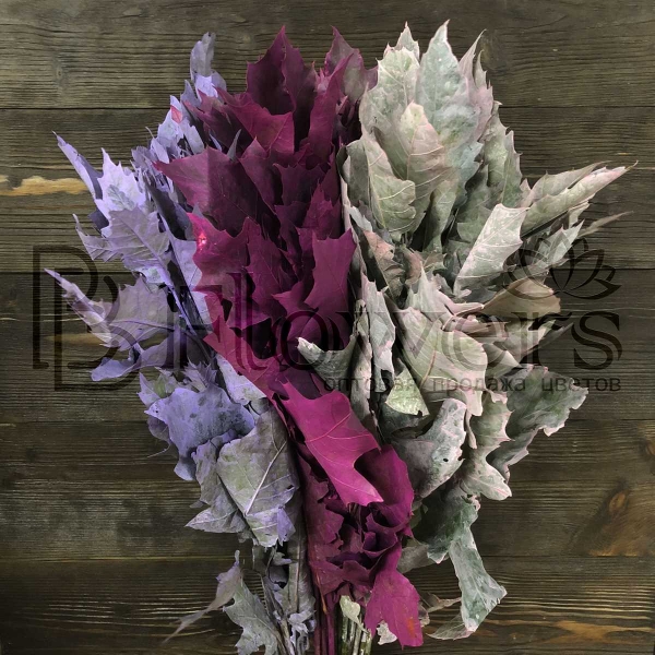 Дуб крашеный микс 60 см Дуб крашеный микс 60 см