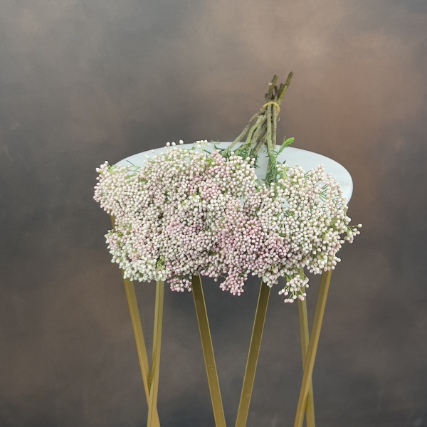 Озотамус Cooks Tall Pink 60 см Озотамус Cooks Tall Pink 60 см