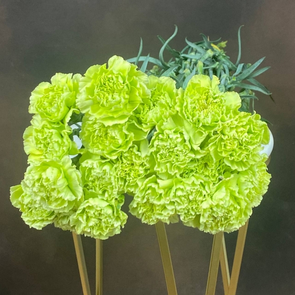 Гвоздика St Celtic Green одноголовая 60 см Гвоздика St Celtic Green одноголовая 60 см