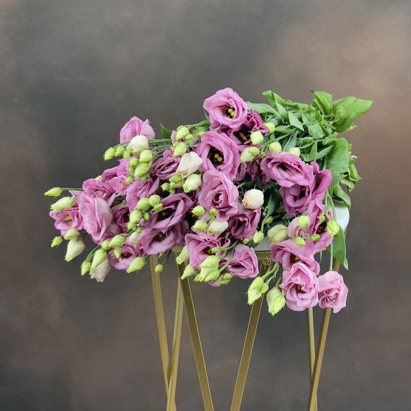 Эустома G Rosi Rose Pink 75 см Эустома G Rosi Rose Pink 75 см