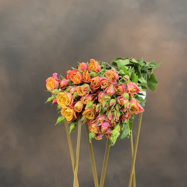 Роза Tr Sonora кустовая 60 см Роза Tr Sonora кустовая 60 см