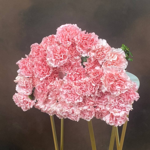 Гвоздика St Doncel одноголовая 70 см Гвоздика St Doncel одноголовая 70 см