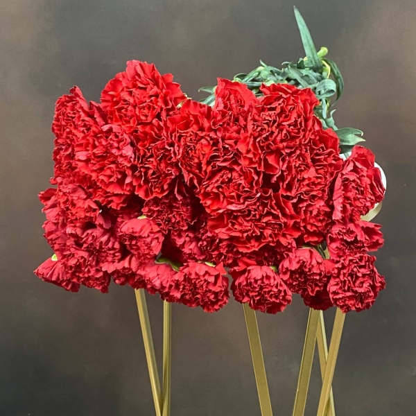 Гвоздика St Red одноголовая 65 см Гвоздика St Red одноголовая 65 см