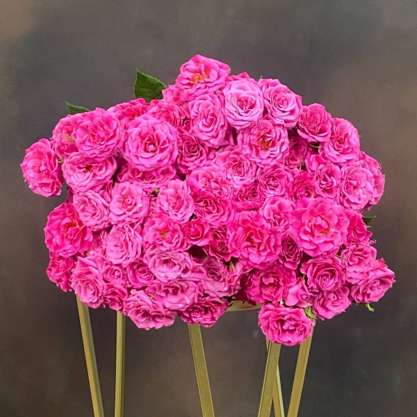 Роза Tr Lianne кустовая 60 см Роза Tr Lianne кустовая 60 см